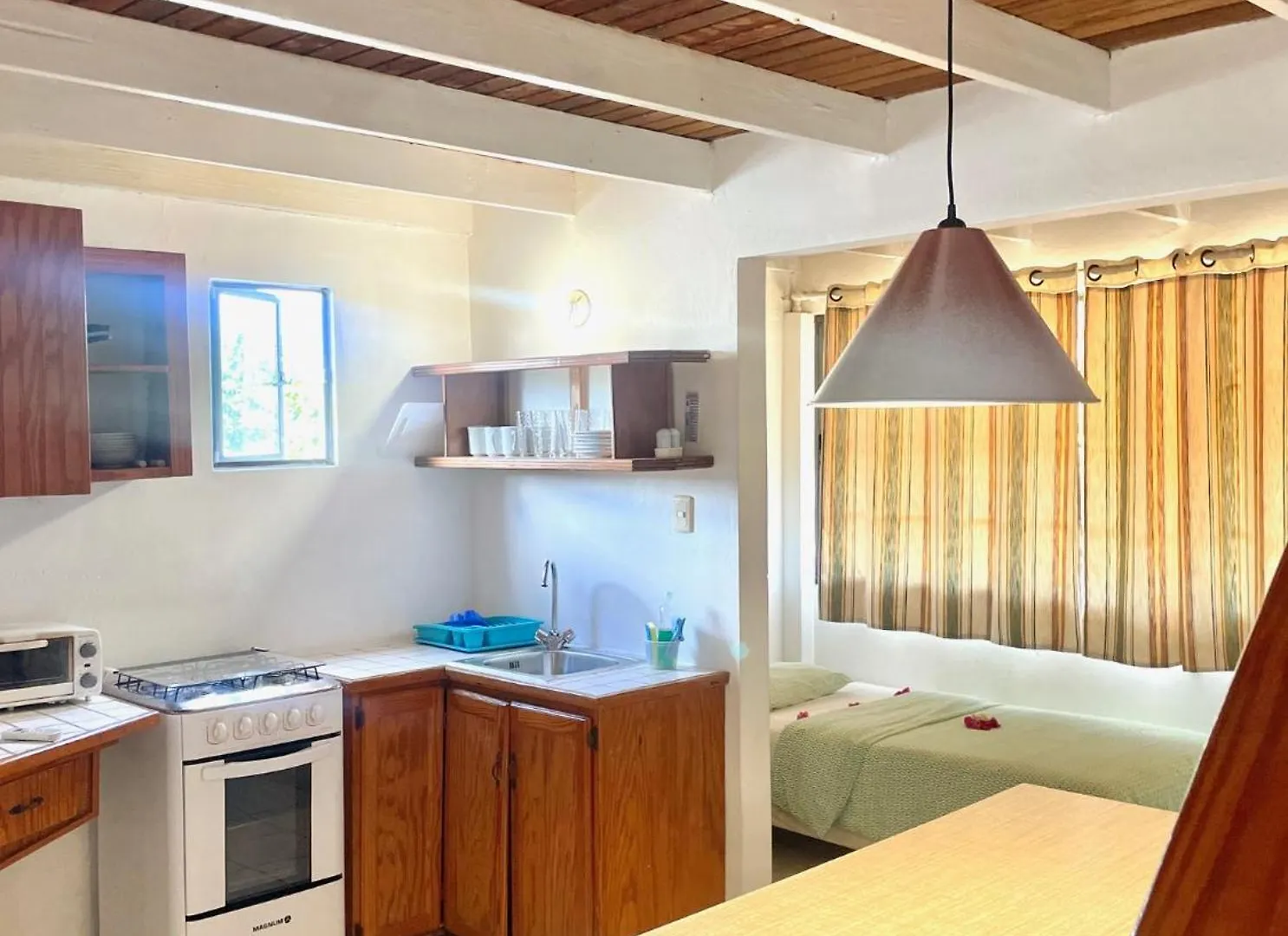 Bananaquit Tobago -Stay Near The Beach Crown Point