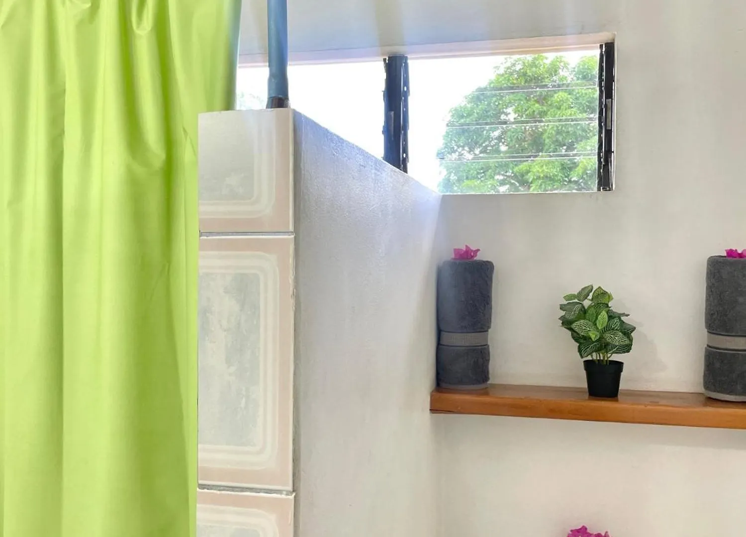 Bananaquit Tobago -Stay Near The Beach Crown Point Aparthotel