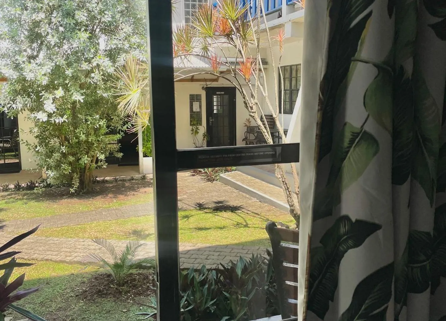 Bananaquit Tobago -Stay Near The Beach Crown Point
