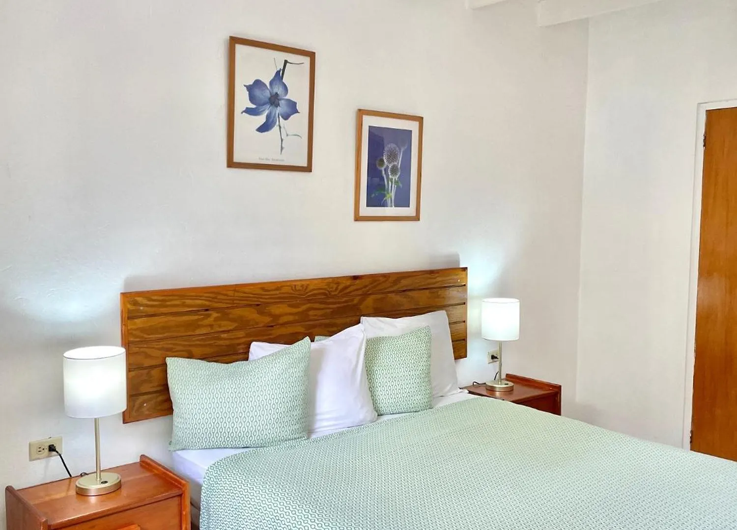 Bananaquit Tobago -Stay Near The Beach Crown Point Trinidad And Tobago